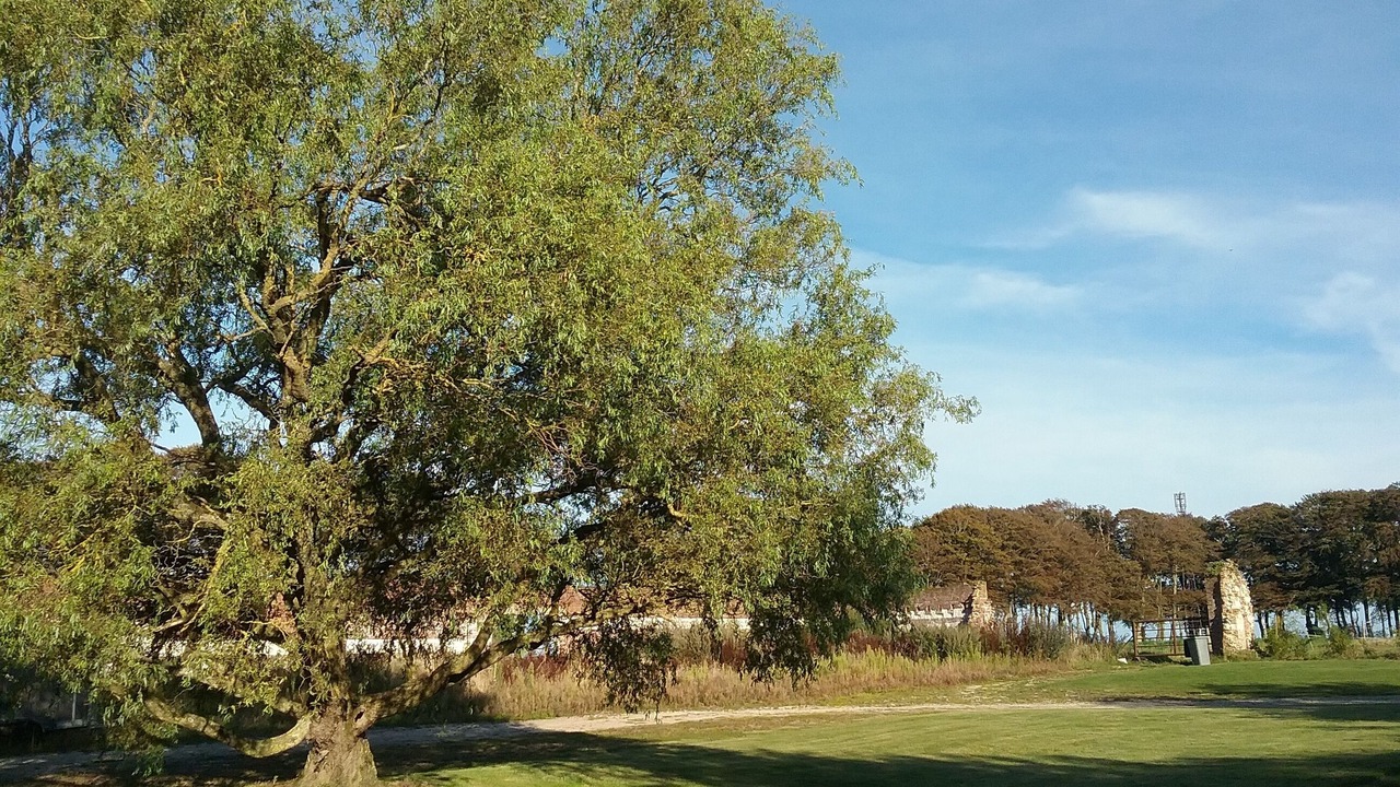 Photo of Outdoor in Biville-sur-Mer
