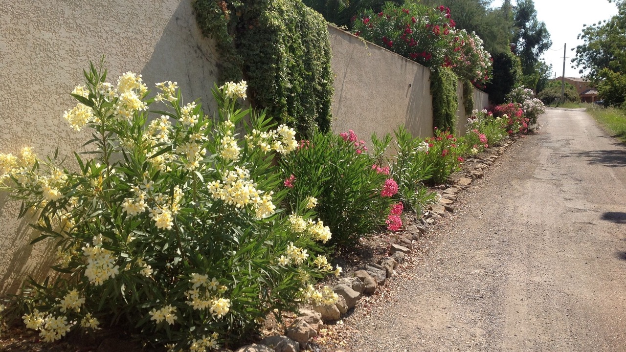 Photo of Outdoor in Laurens