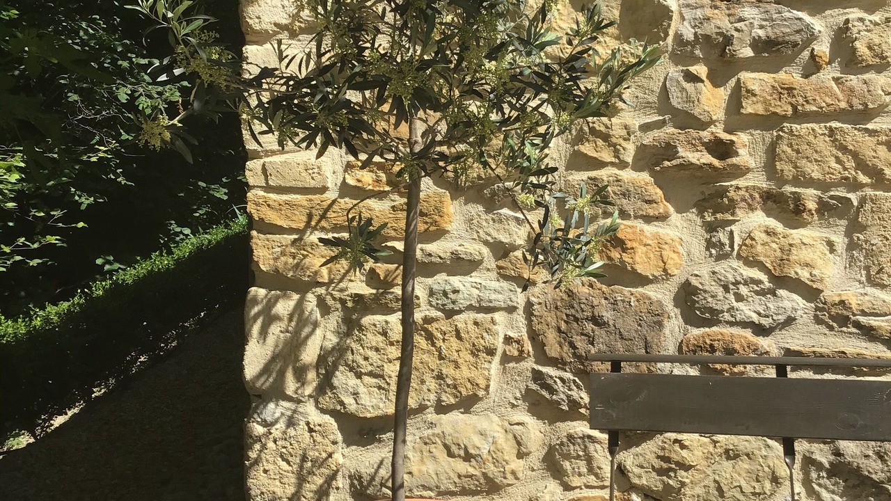 Photo of Outdoor in Malaucene