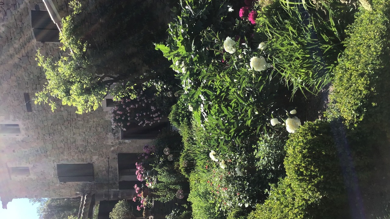 Photo of Outdoor in Malaucene