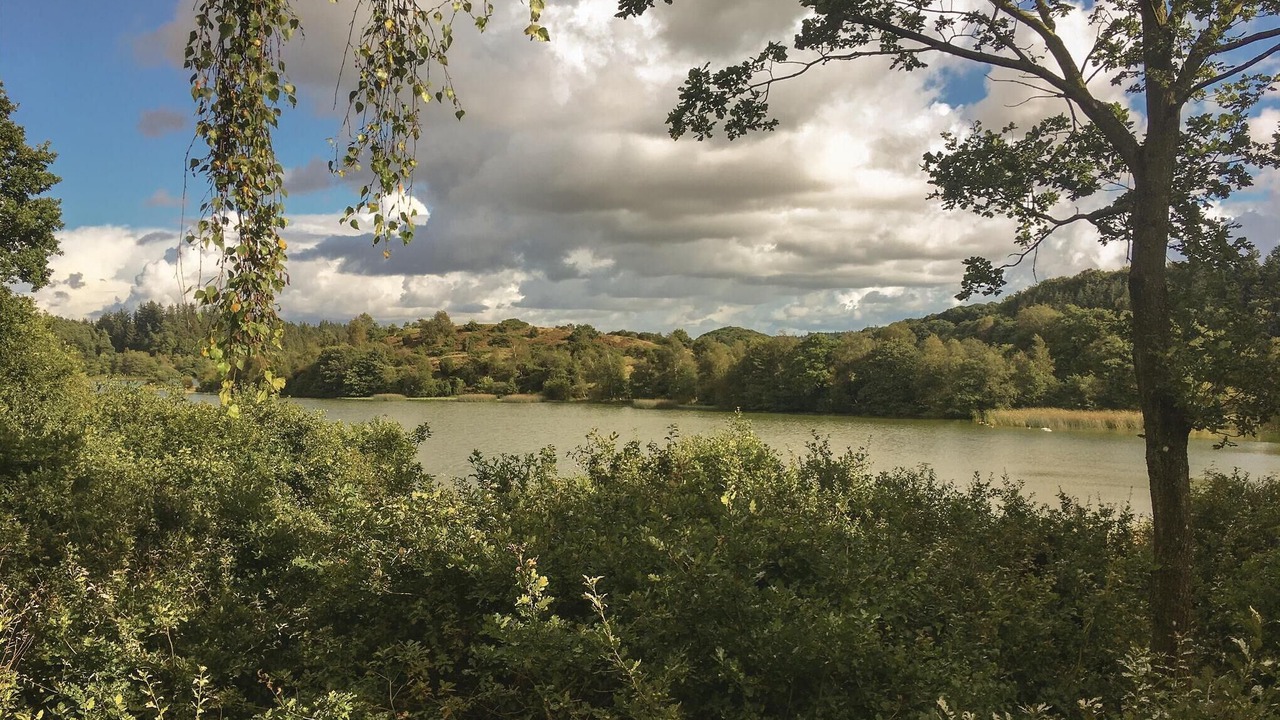 Photo of Bedroom in Krejbjerg