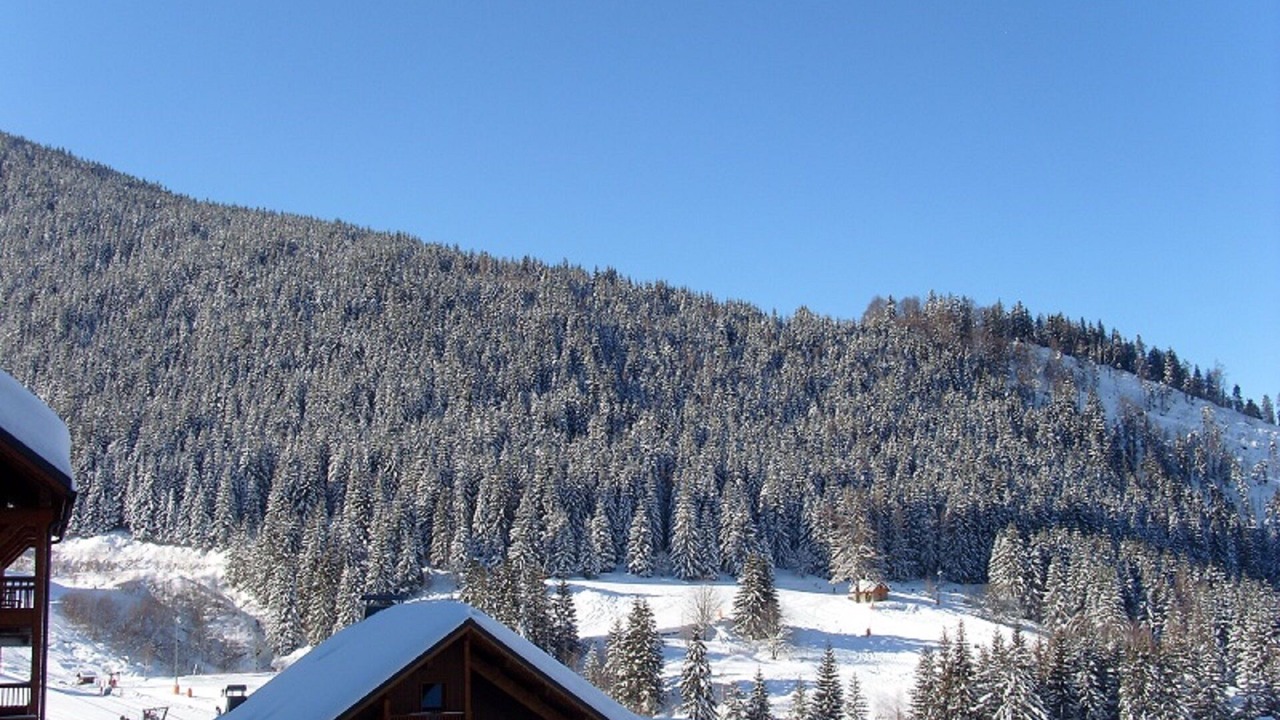 Photo of Others in Oz-en-Oisans