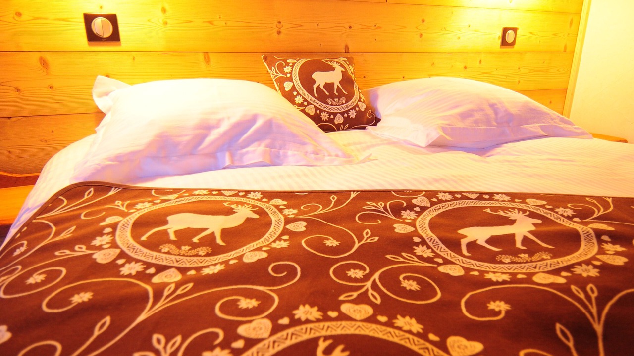 Photo of Bedroom in Chatel