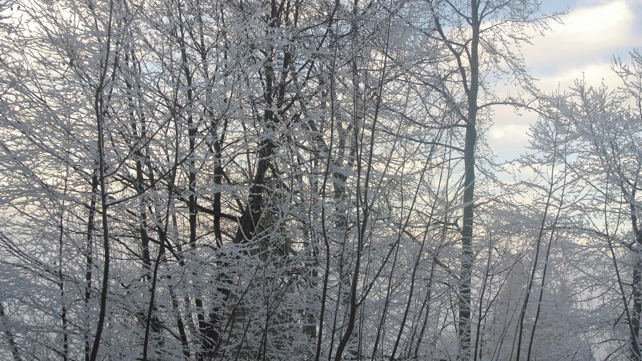 Photo of Others in Les Carroz-d'Araches