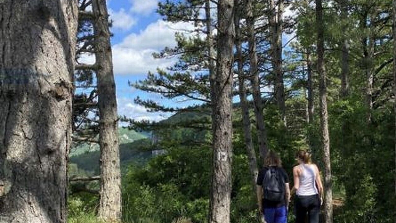 Photo of Outdoor in Saint-Affrique