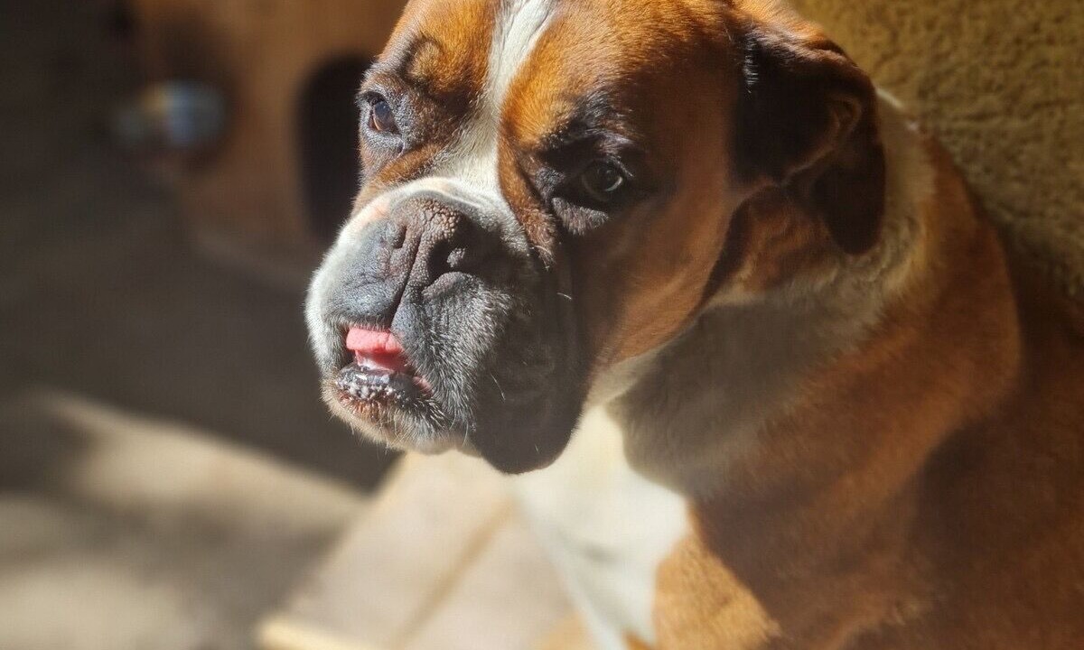 Photo of Others in Saint-Germain