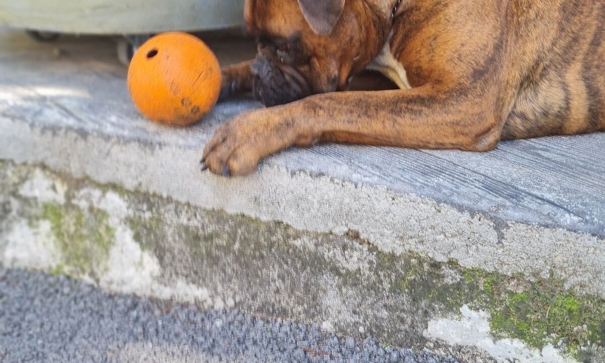 Photo of Others in Saint-Germain