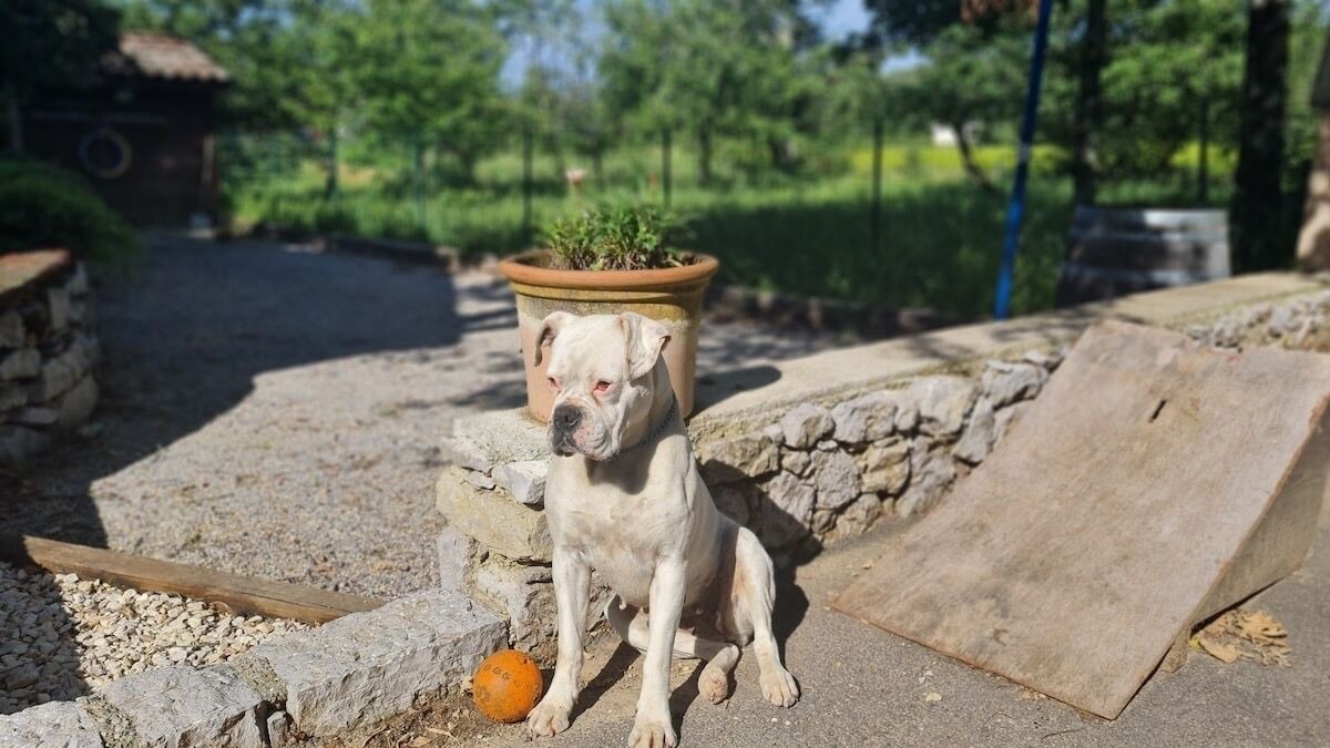 Photo of Outdoor in Saint-Germain