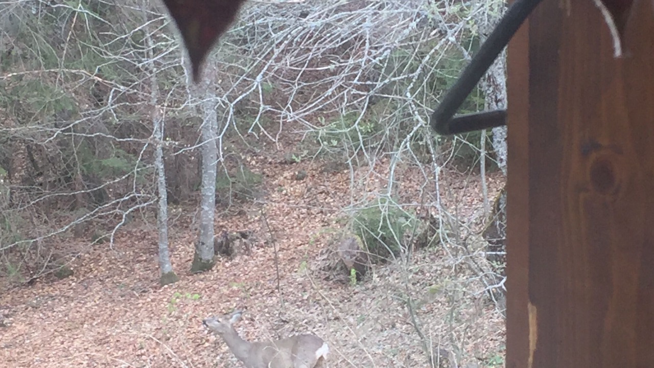 Photo of Outdoor in Les Carroz-d'Araches