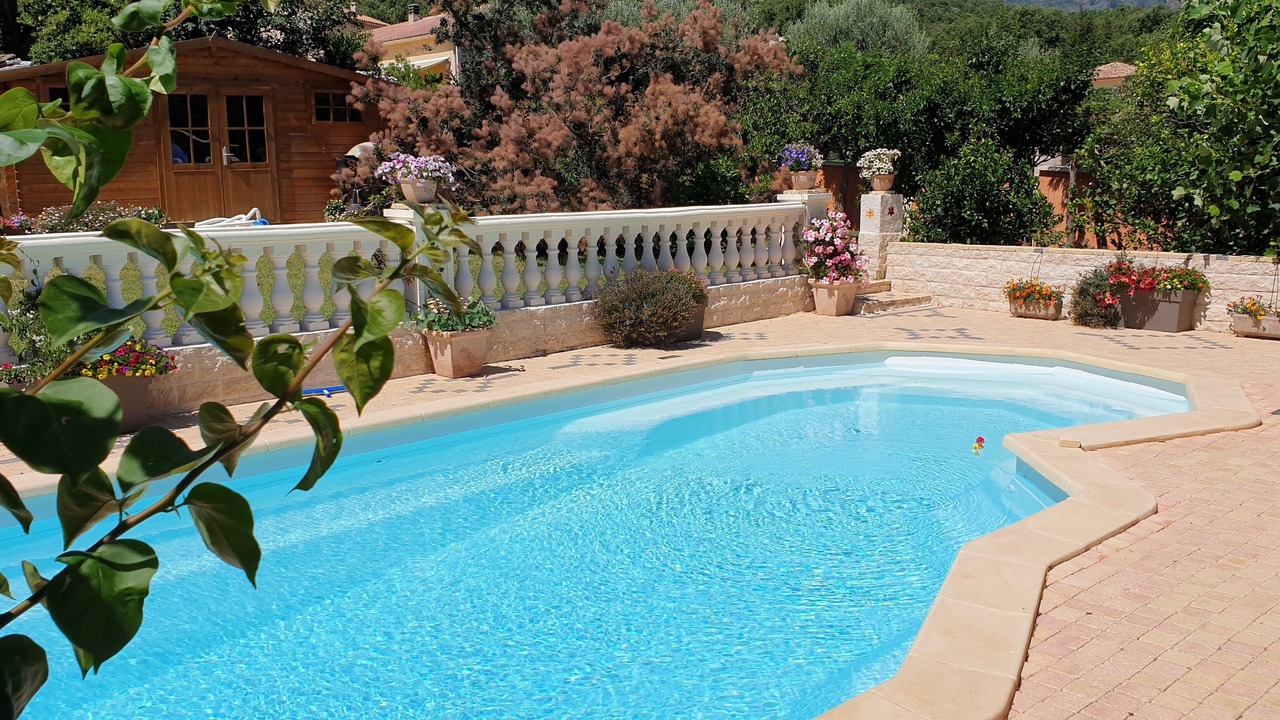 Photo of Outdoor in Sisco