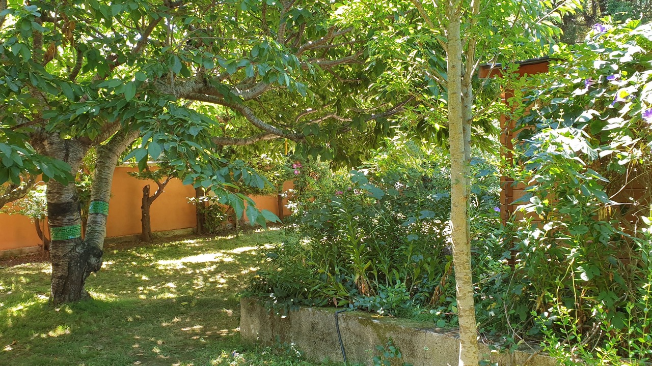 Photo of Outdoor in Sisco