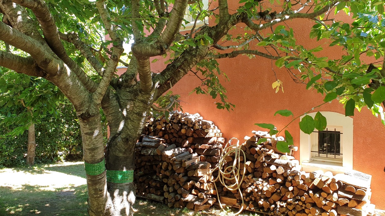 Photo of Outdoor in Sisco