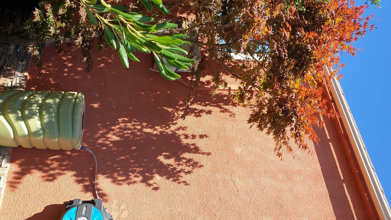 Photo of Others in Sisco