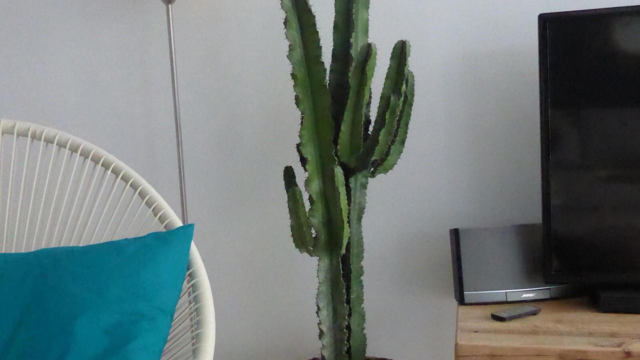 Photo of Others in Juan-les-Pins