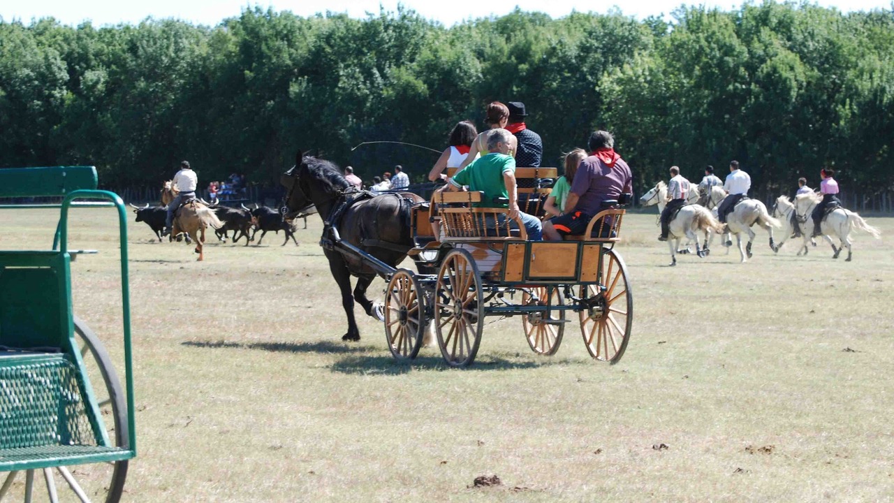 Photo of Others in Le Cailar