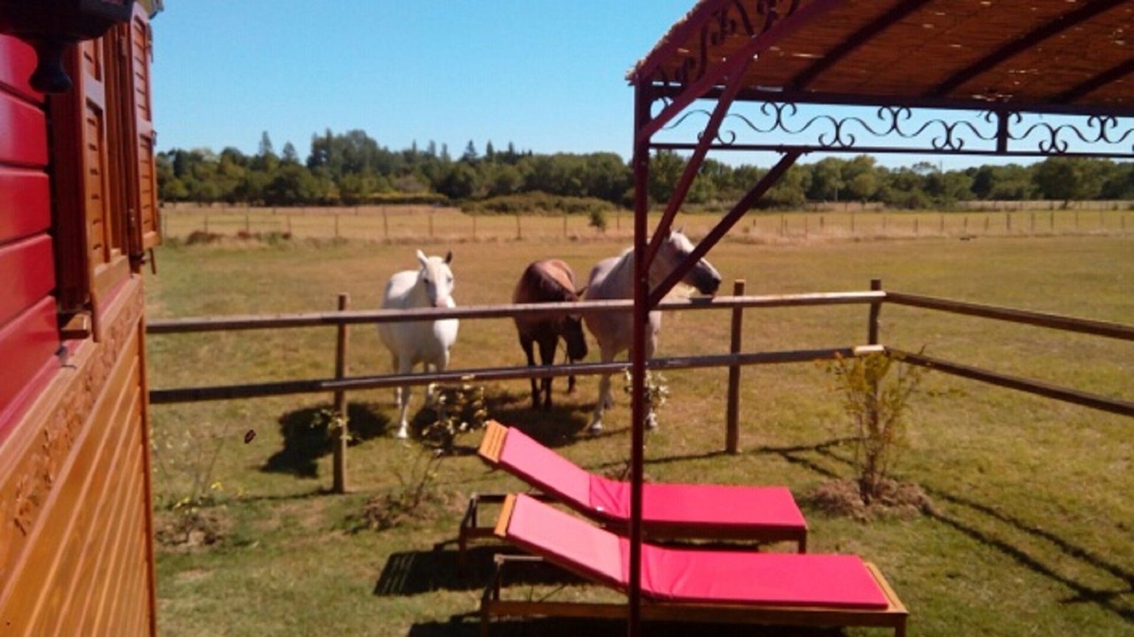 Photo of Outdoor in Le Cailar