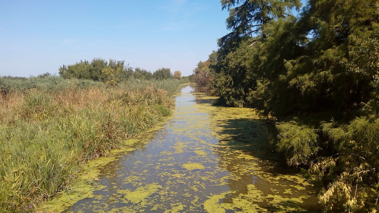 Photo of Outdoor in Le Cailar