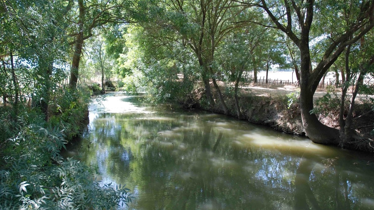 Photo of Outdoor in Le Cailar