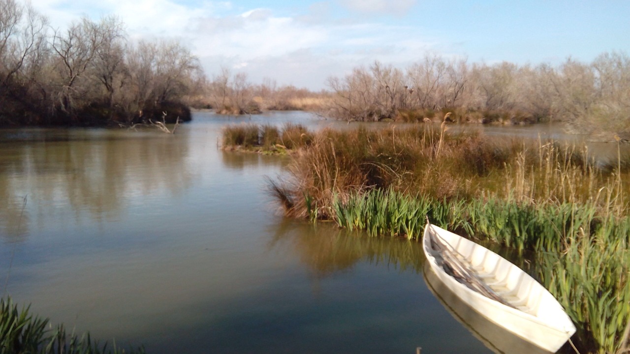 Photo of Outdoor in Le Cailar