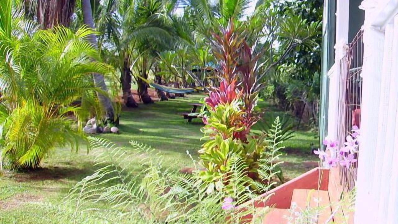 Photo of Outdoor in Anahola
