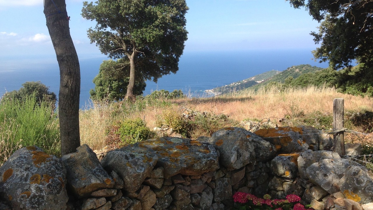 Photo of Outdoor in Cargese