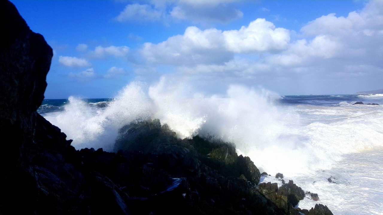 Photo of Others in Cargese