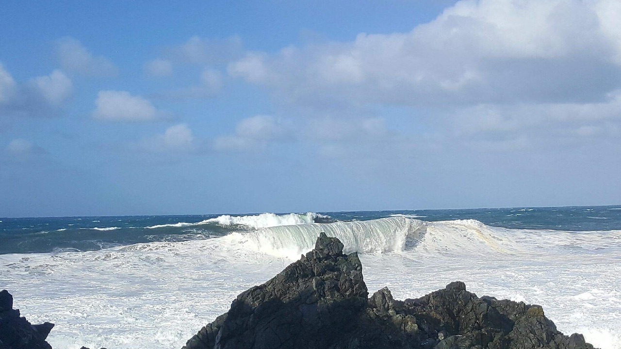 Photo of Others in Cargese