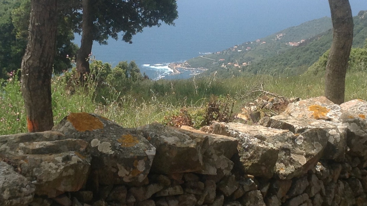 Photo of Outdoor in Cargese