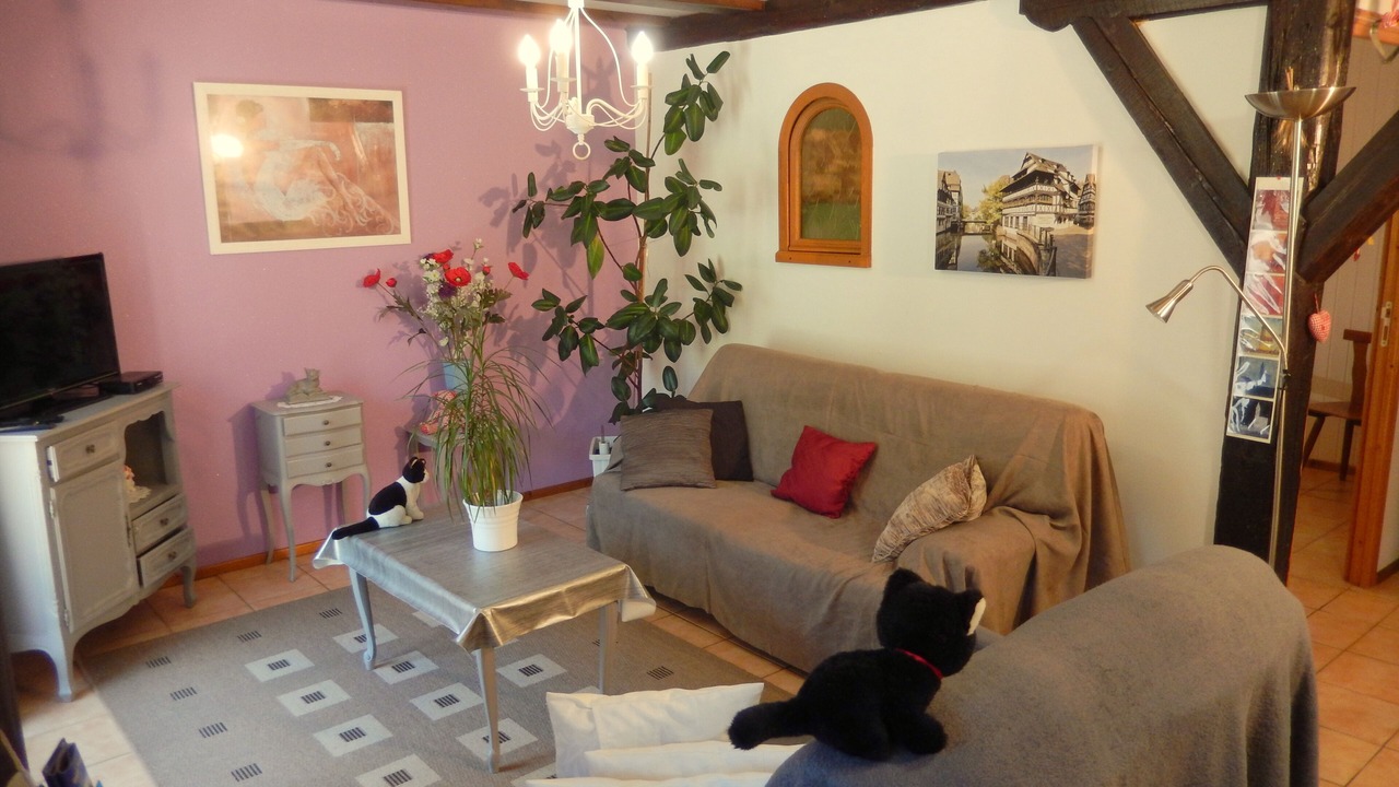 Photo of Livingroom in Wangenbourg-Engenthal