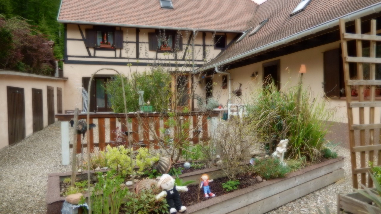 Photo of Others in Wangenbourg-Engenthal