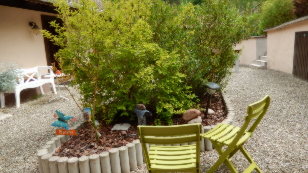 Photo of Outdoor in Wangenbourg-Engenthal