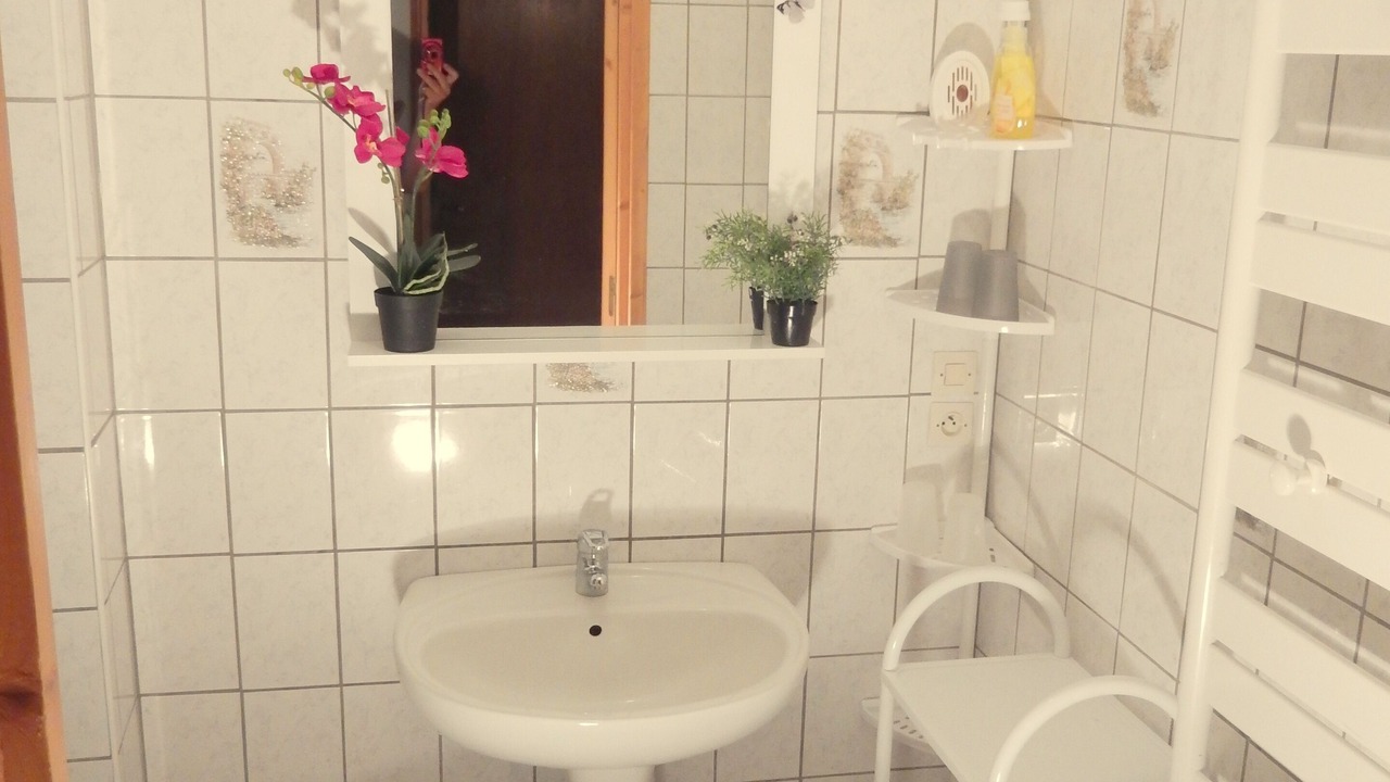 Photo of Bathroom in Wangenbourg-Engenthal