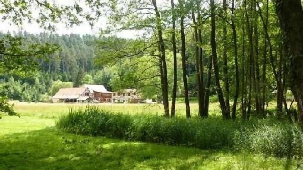 Photo of Outdoor in Wangenbourg-Engenthal