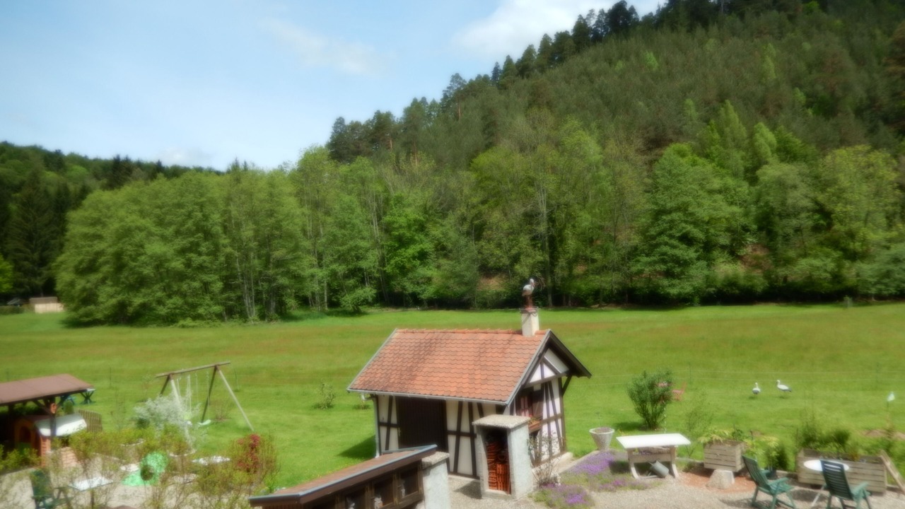 Photo of Outdoor in Wangenbourg-Engenthal