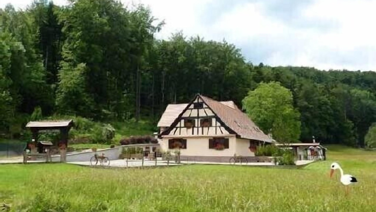 Photo of Outdoor in Wangenbourg-Engenthal