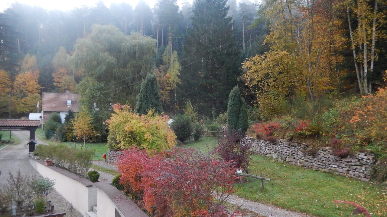 Photo of Outdoor in Wangenbourg-Engenthal