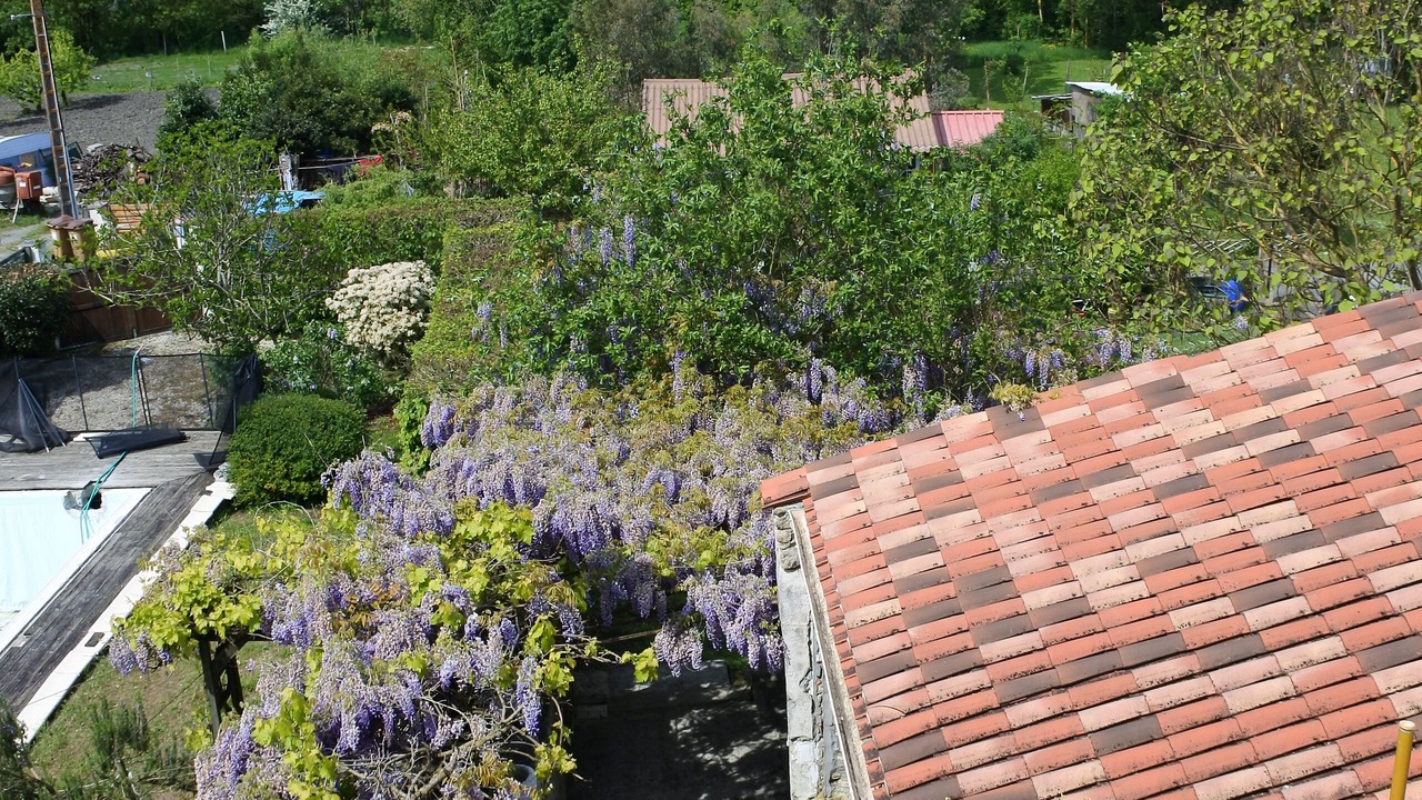 Photo of Outdoor in Le Gue-de-Velluire