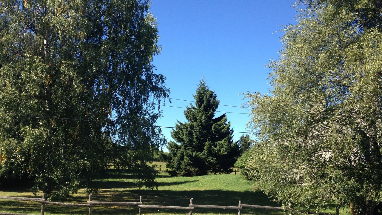 Photo of Outdoor in Saint-Pierre-dels-Forcats