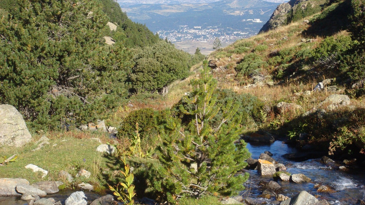Photo of Outdoor in Saint-Pierre-dels-Forcats