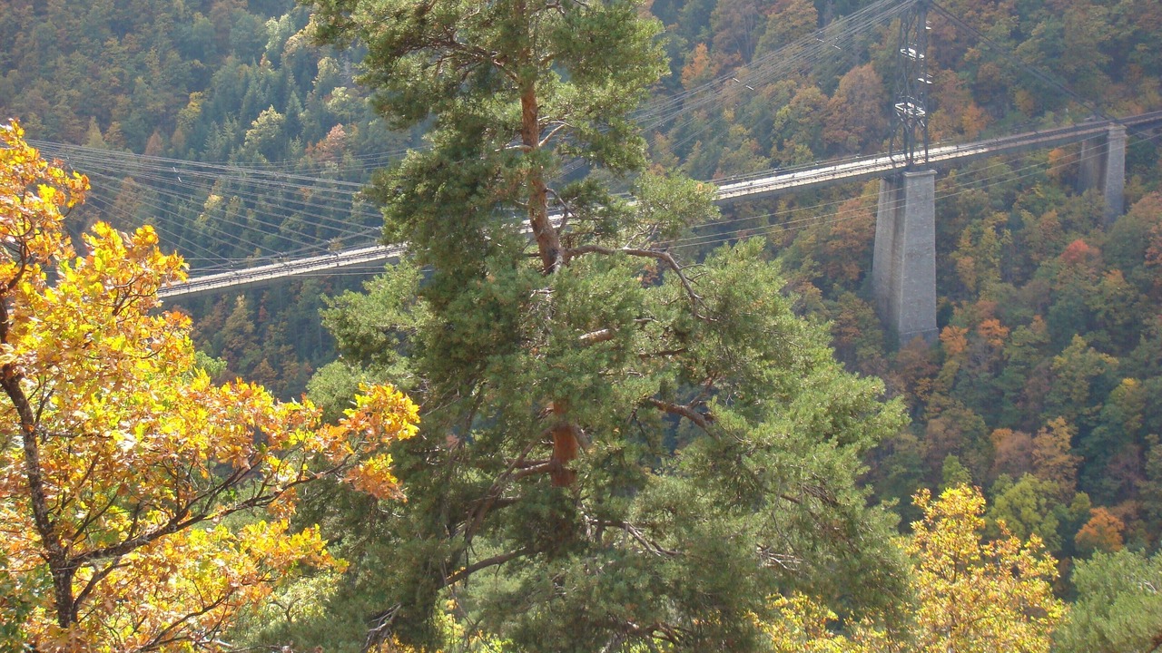 Photo of Outdoor in Saint-Pierre-dels-Forcats