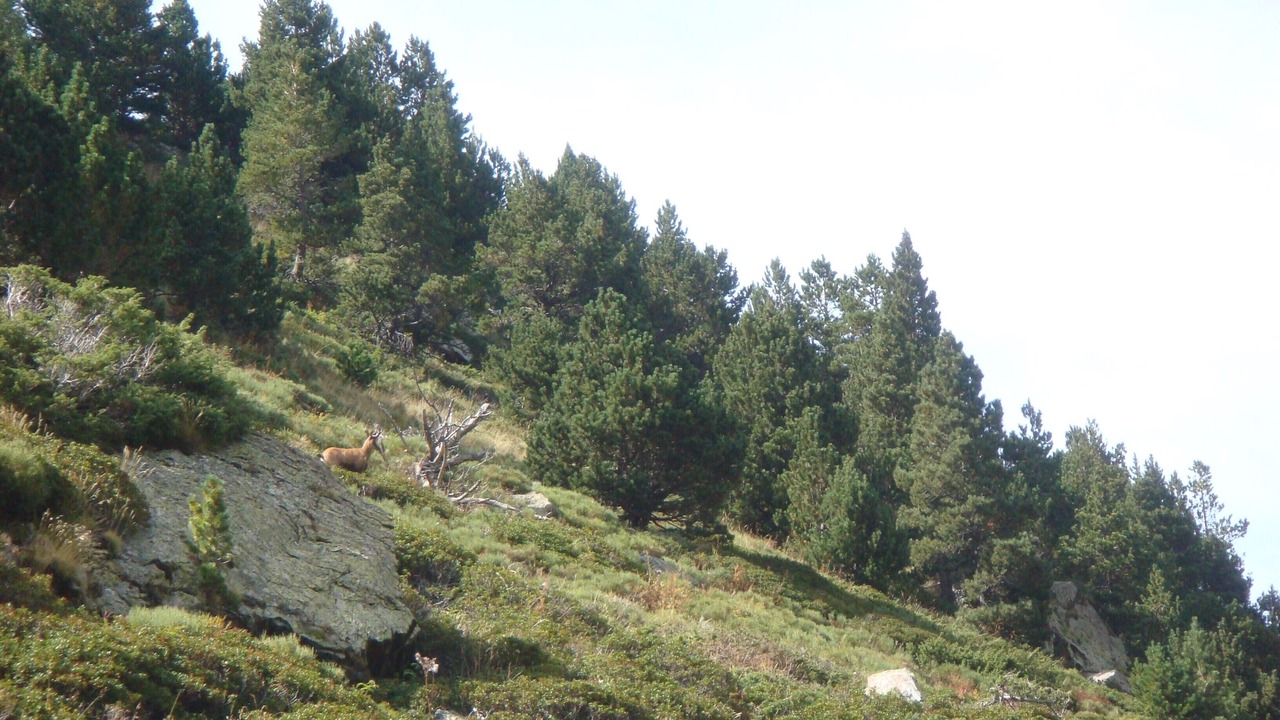 Photo of Outdoor in Saint-Pierre-dels-Forcats