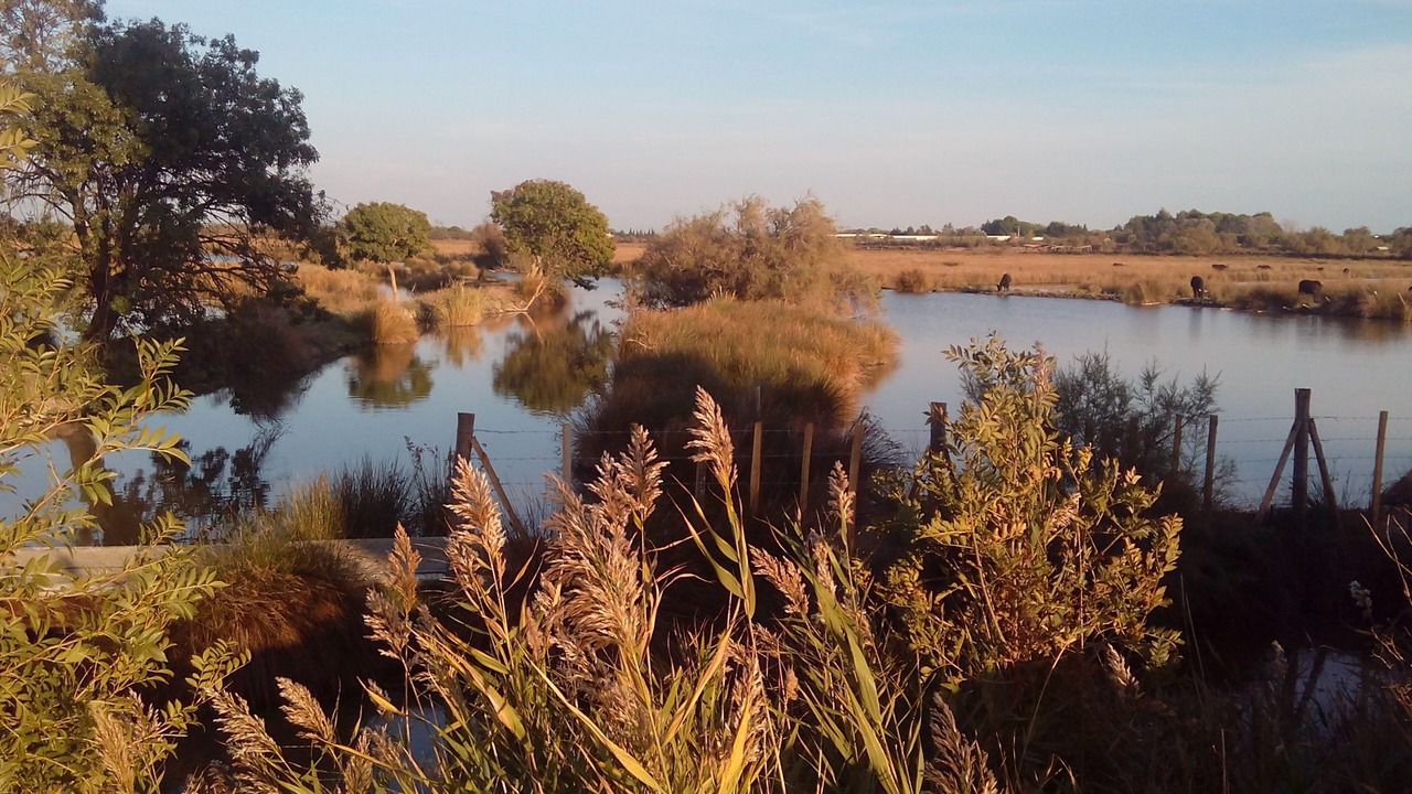 Photo of Outdoor in Le Cailar