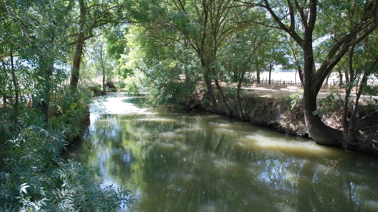 Photo of Outdoor in Le Cailar