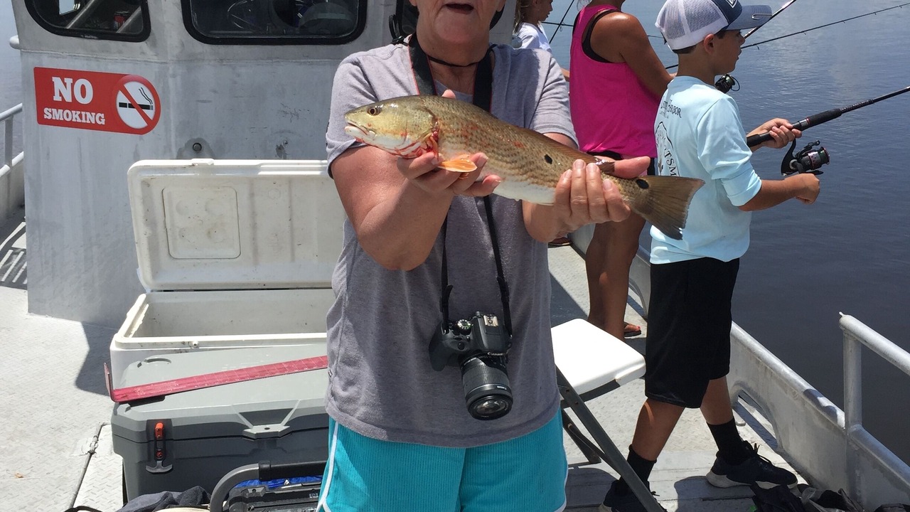 Photo of Others in Lafitte