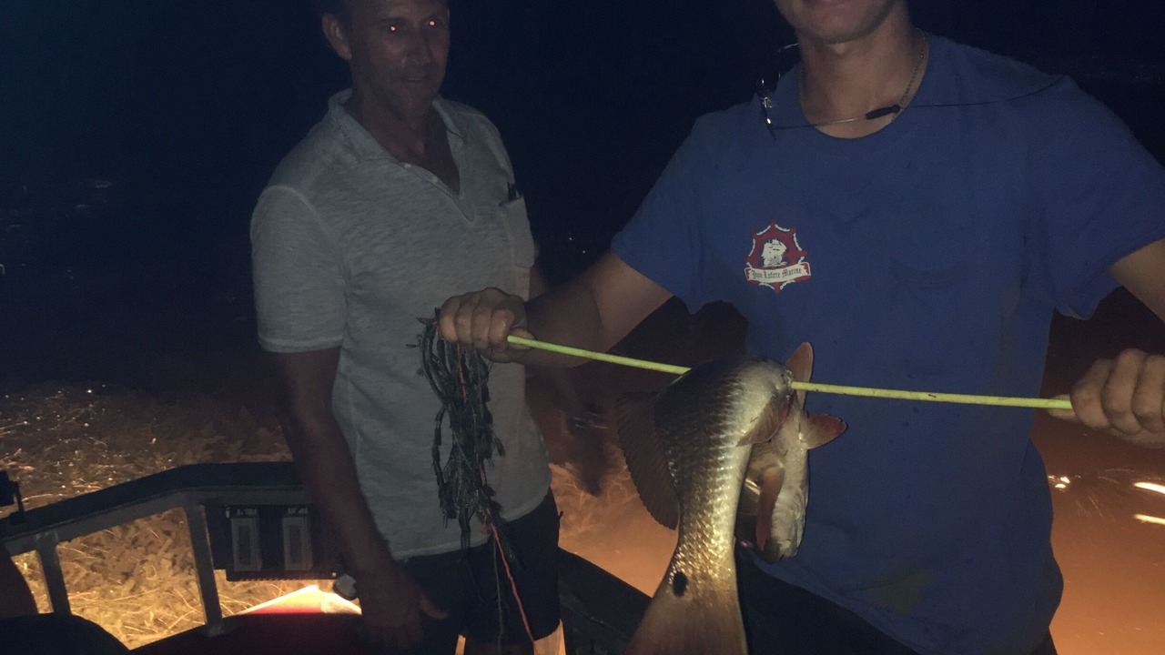 Photo of Others in Lafitte