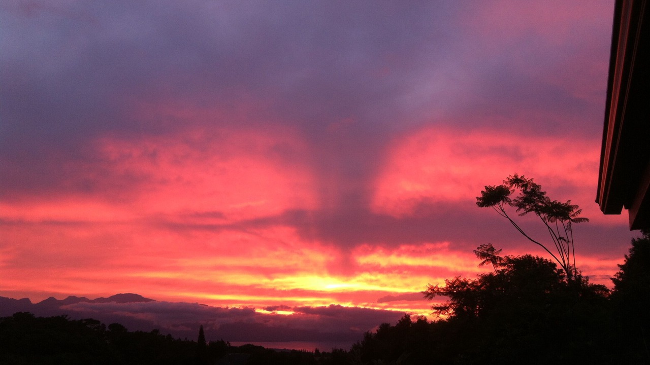 Photo of Others in Pauwela