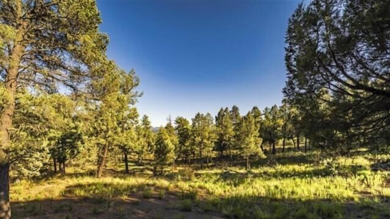 Photo of Others in Ruidoso