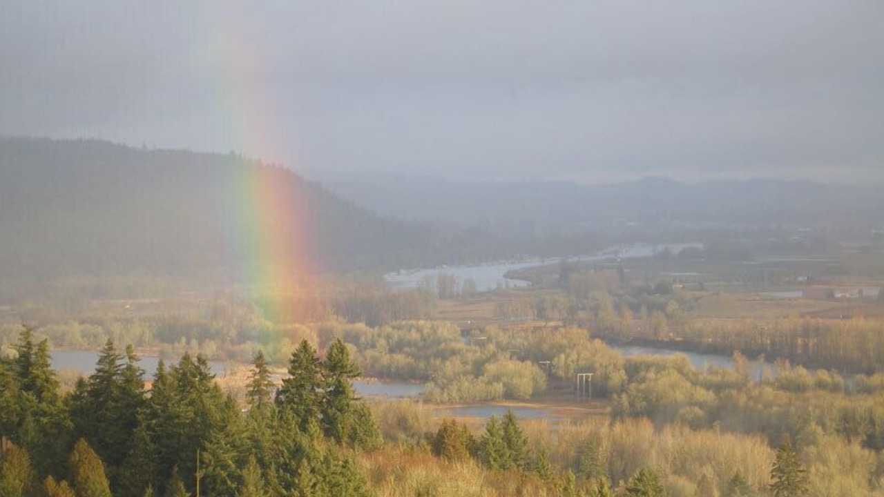 Photo of Others in Portland