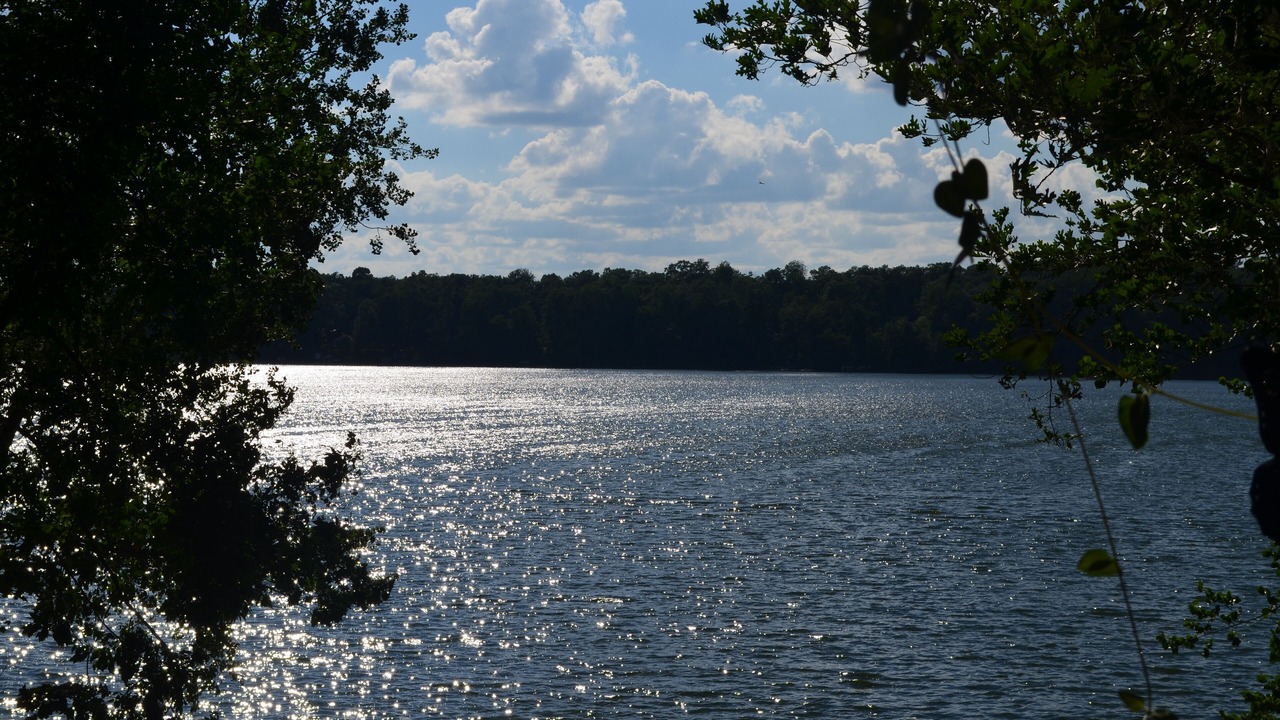 Photo of Outdoor in Birchwood