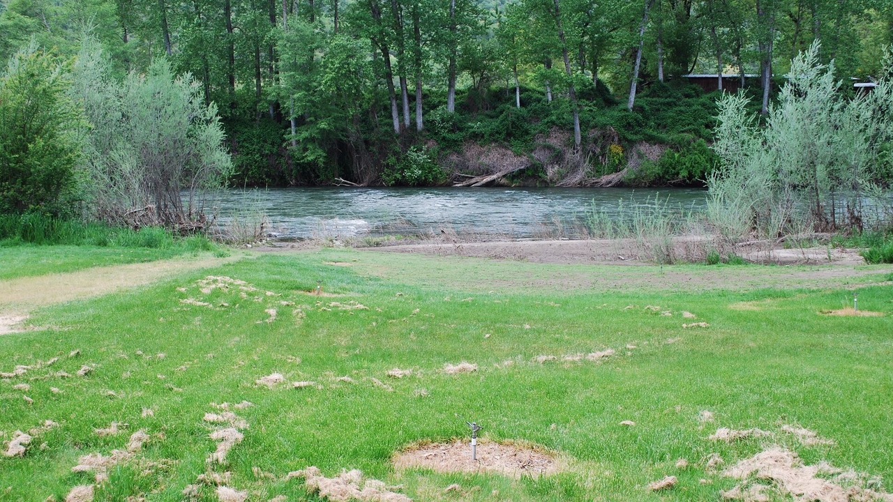 Photo of Others in Gold Hill